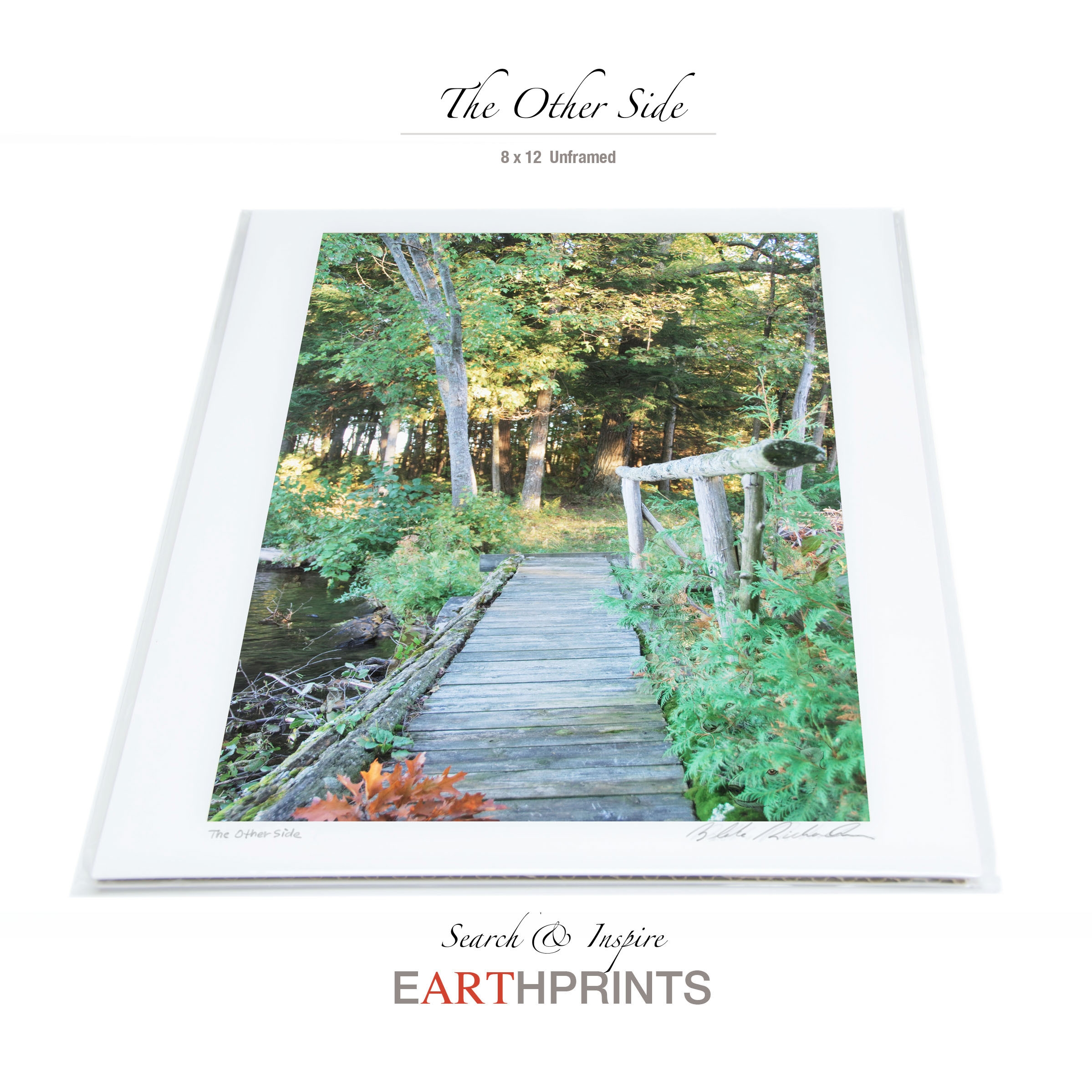 Earth print – The other side (Can you see the hippo?)