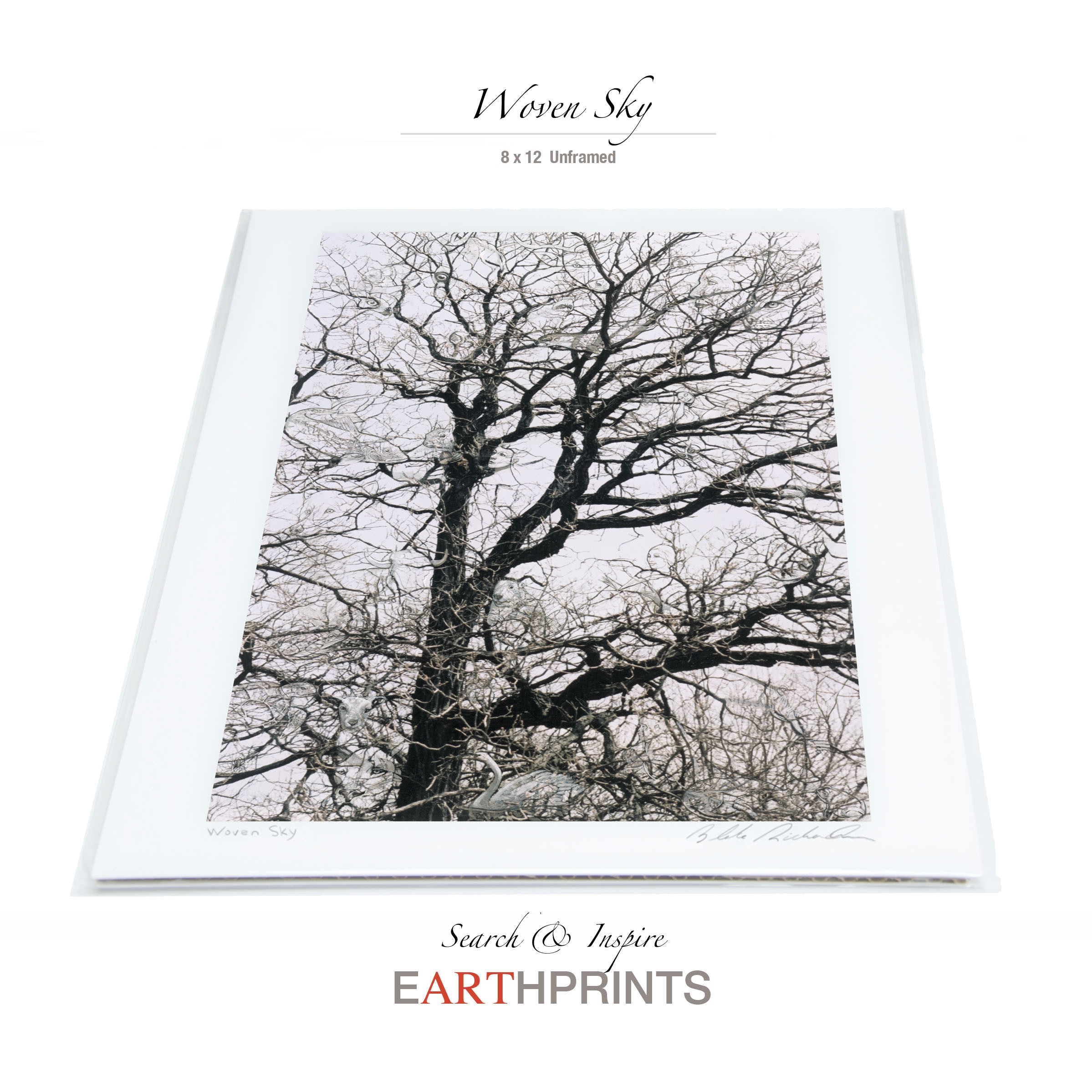 Earth print – Woven Sky (Can you see the Elephant?)