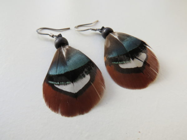 simple feather earrings rebecca maracle