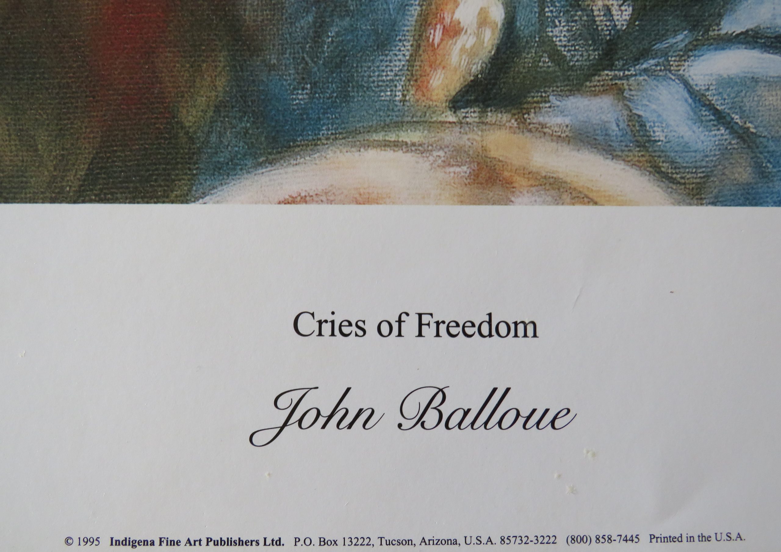 Indianen poster ‘Cries of freedom’ van John Balloue