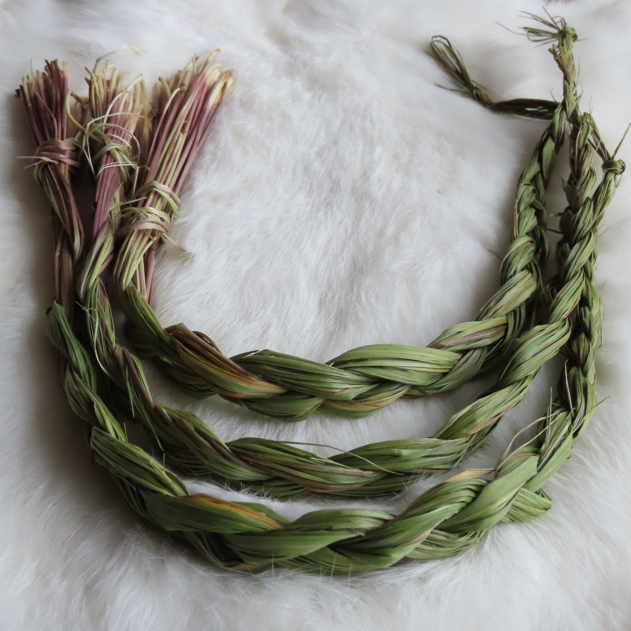 Sweetgrass braids/zoetgras strengen voor smudging/reinigen